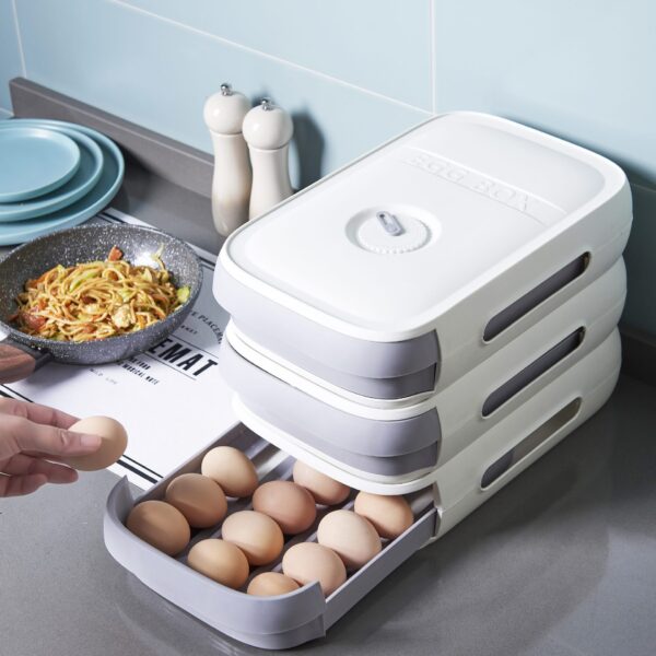 egg storage box